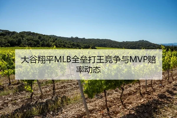 大谷翔平MLB全垒打王竞争与MVP赔率动态