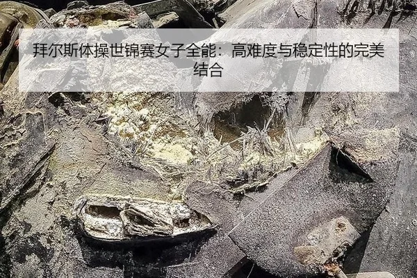 bai-er-si-ti-cao-shi-jin-sai-nv-zi-quan-neng-gao-nan-du-yu-wen-ding-xing-de-wan-mei-jie-he-2-256.jpg