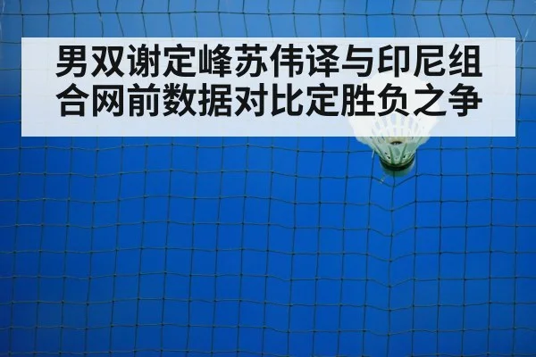 男双谢定峰苏伟译与印尼组合网前数据对比定胜负之争